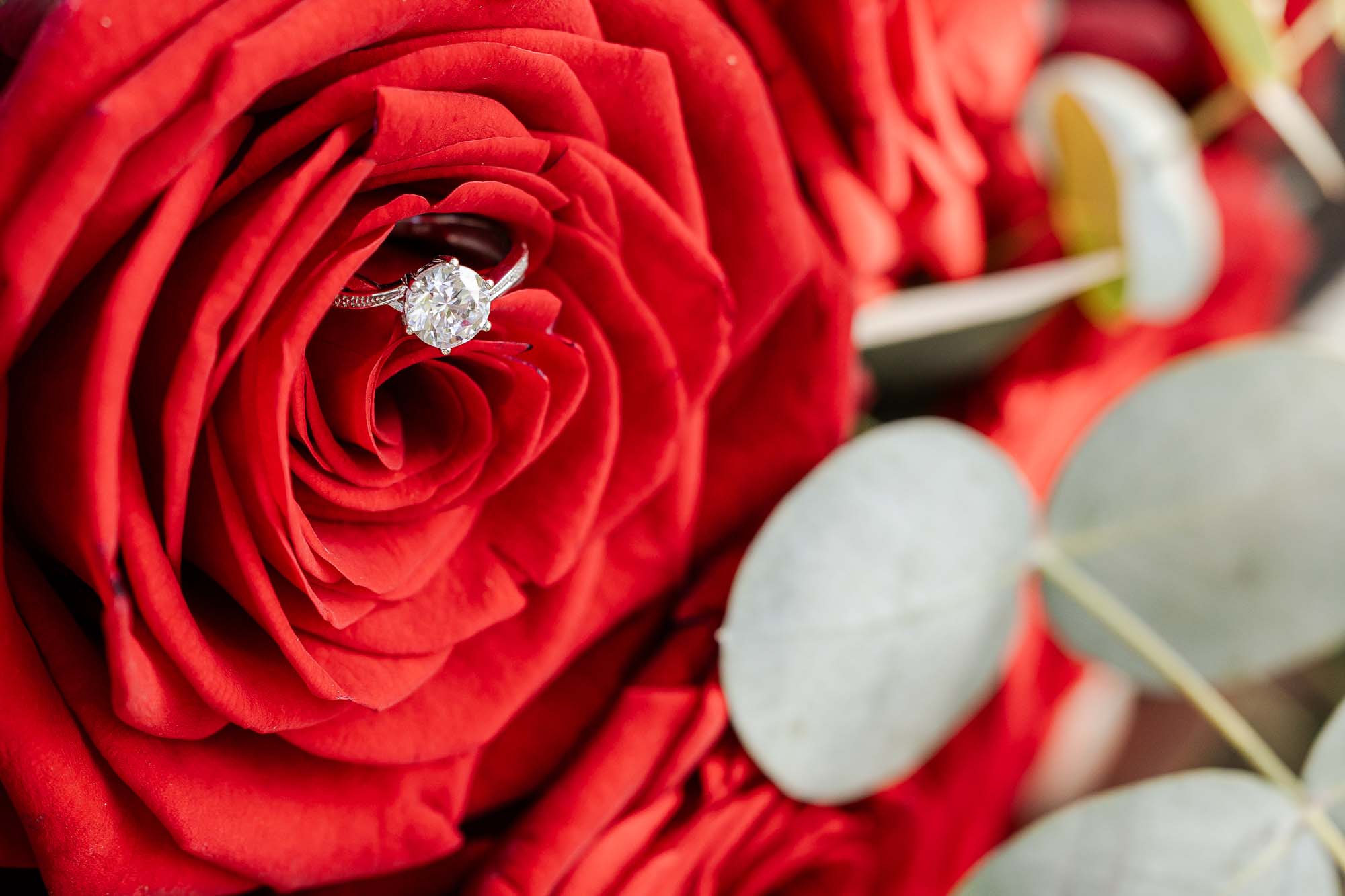 Ein unvergesslicher Heiratsantrag mit Hochzeitsplanerin Kristina von Treasure Time